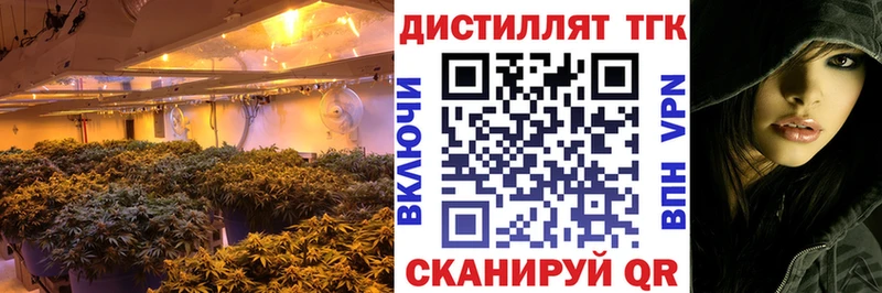 Дистиллят ТГК THC oil  сколько стоит  Уржум 