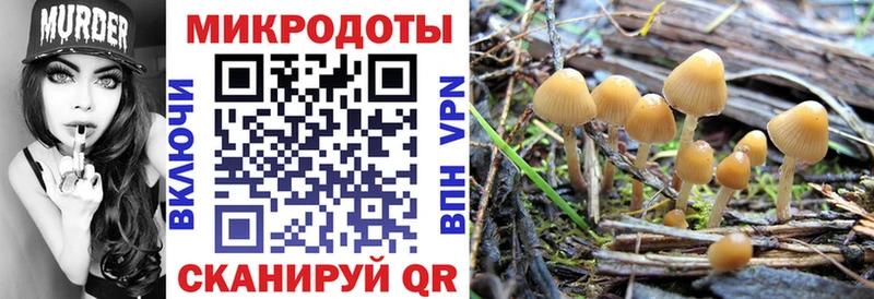 Псилоцибиновые грибы прущие грибы Уржум